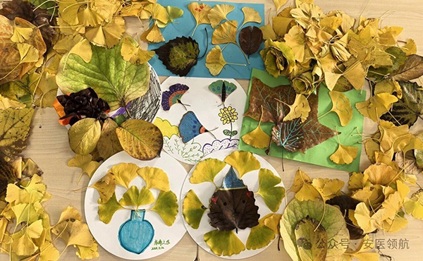 DM_20251112162146_001.jpg DM_20251112162146_001.jpg