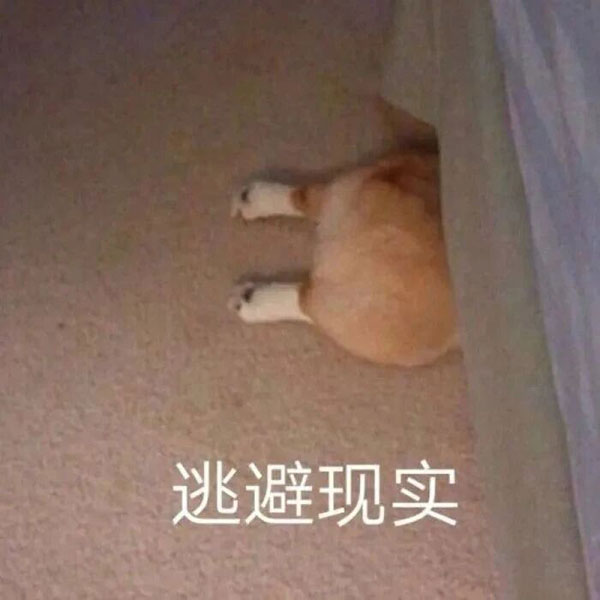 微信图片_20260313174535.jpg 微信图片_20260313174535.jpg