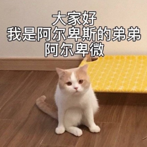 微信图片_2026-06-11_092055_203.jpg