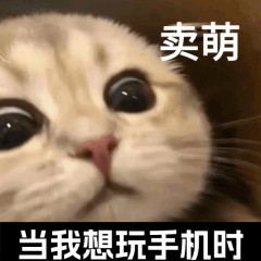 微信图片_2026-07-15_111938_416.jpg