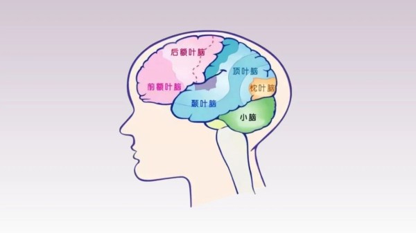 微信图片_2026-07-23_111905_433.jpg