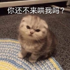 02.jpg