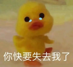 03.jpg