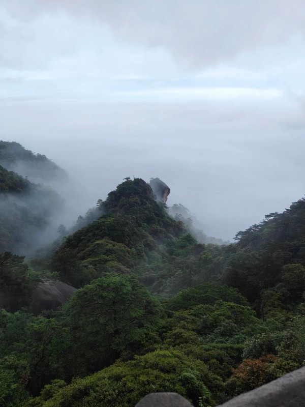 DM_20260923090728_010.jpg
