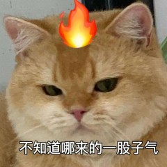 微信图片_2026-10-14_145359_457.jpg 微信图片_2026-10-14_145359_457.jpg