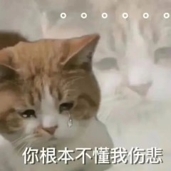 微信图片_2026-10-21_104557_804.jpg
