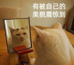 02.jpg